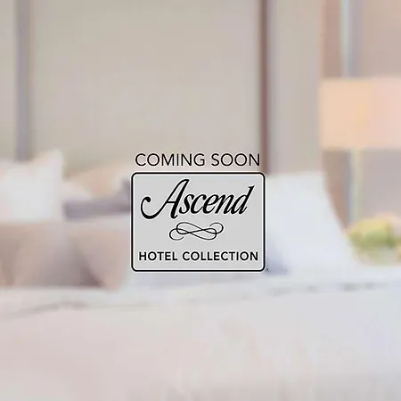 Festning, Ascend Collection *