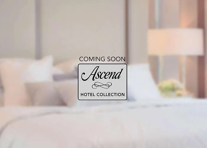 Festning, Ascend Collection *